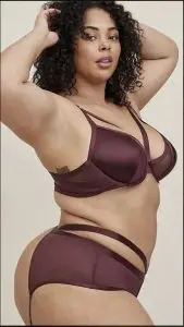 Cacique by Lane Bryant Lingerie