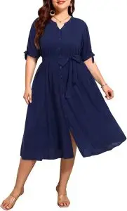 Universal Standard Office Dress